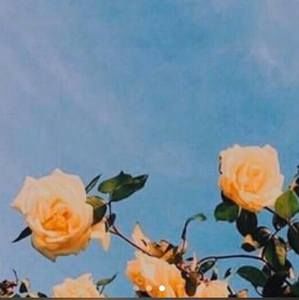 Meet your Posher, Emely